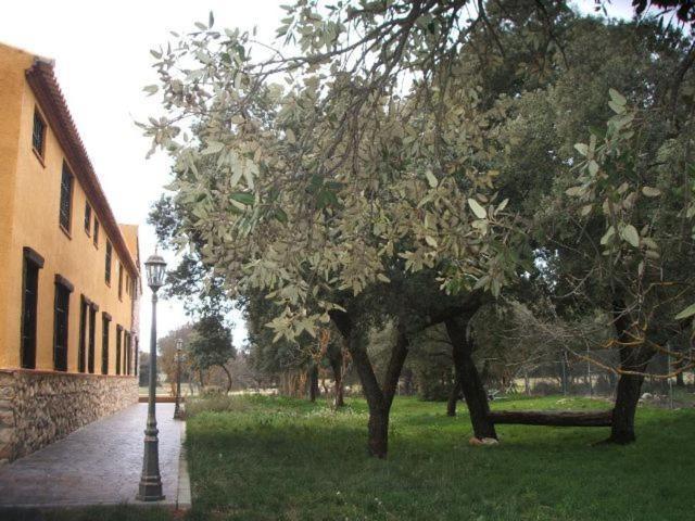 Hotel Rural Dehesa Del Rincon Pozo Alcón Buitenkant foto